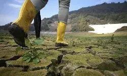 Inconvenience, the biggest enemy for urgent climate action